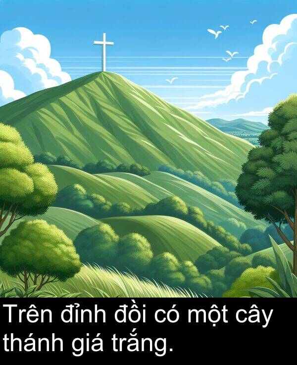 đỉnh: Trên đỉnh đồi có một cây thánh giá trắng.