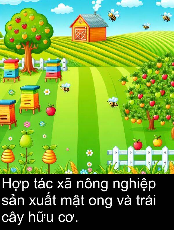 mật: Hợp tác xã nông nghiệp sản xuất mật ong và trái cây hữu cơ.