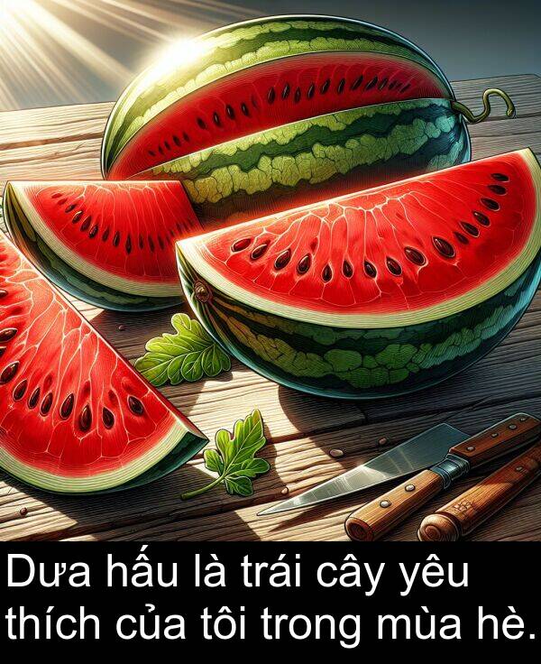 hấu: Dưa hấu là trái cây yêu thích của tôi trong mùa hè.