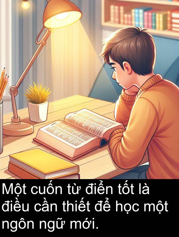 điển: Một cuốn từ điển tốt là điều cần thiết để học một ngôn ngữ mới.