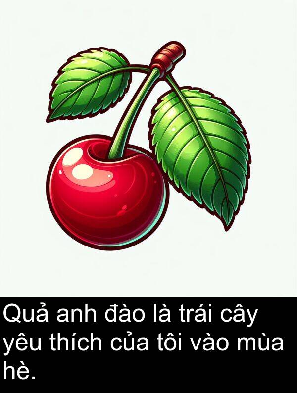 đào: Quả anh đào là trái cây yêu thích của tôi vào mùa hè.