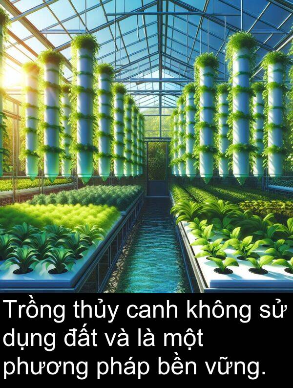 phương: Trồng thủy canh không sử dụng đất và là một phương pháp bền vững.