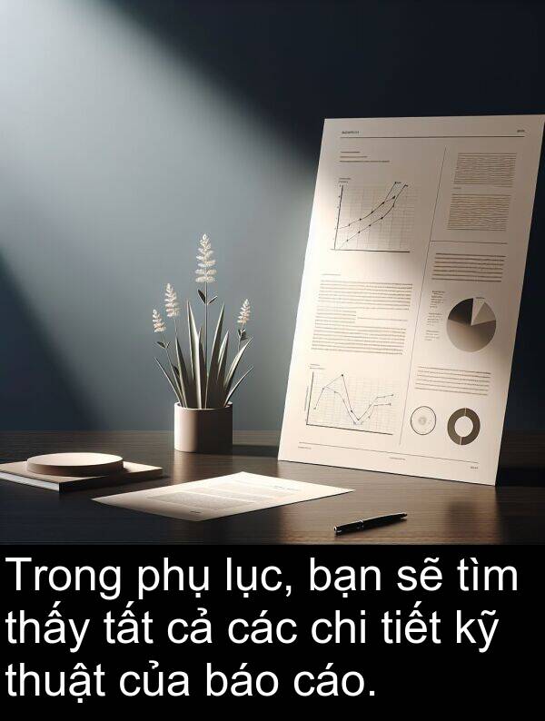 báo: Trong phụ lục, bạn sẽ tìm thấy tất cả các chi tiết kỹ thuật của báo cáo.