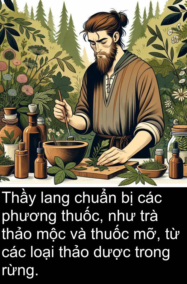 phương: Thầy lang chuẩn bị các phương thuốc, như trà thảo mộc và thuốc mỡ, từ các loại thảo dược trong rừng.