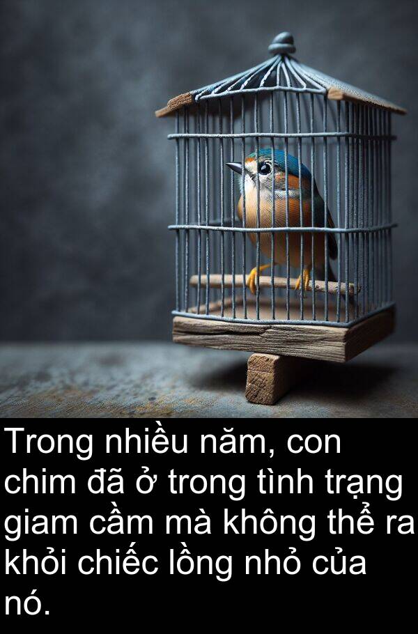 trạng: Trong nhiều năm, con chim đã ở trong tình trạng giam cầm mà không thể ra khỏi chiếc lồng nhỏ của nó.