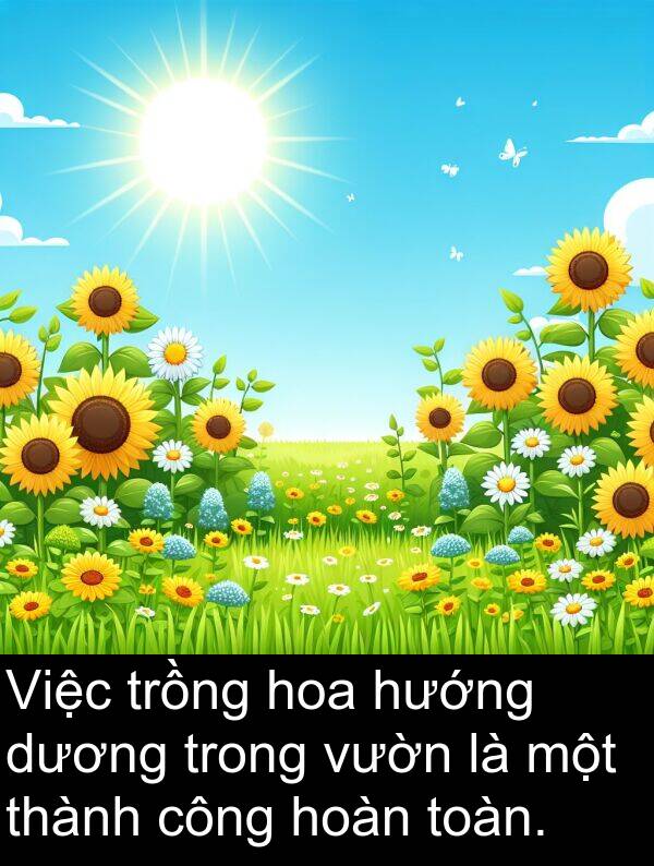 hoàn: Việc trồng hoa hướng dương trong vườn là một thành công hoàn toàn.