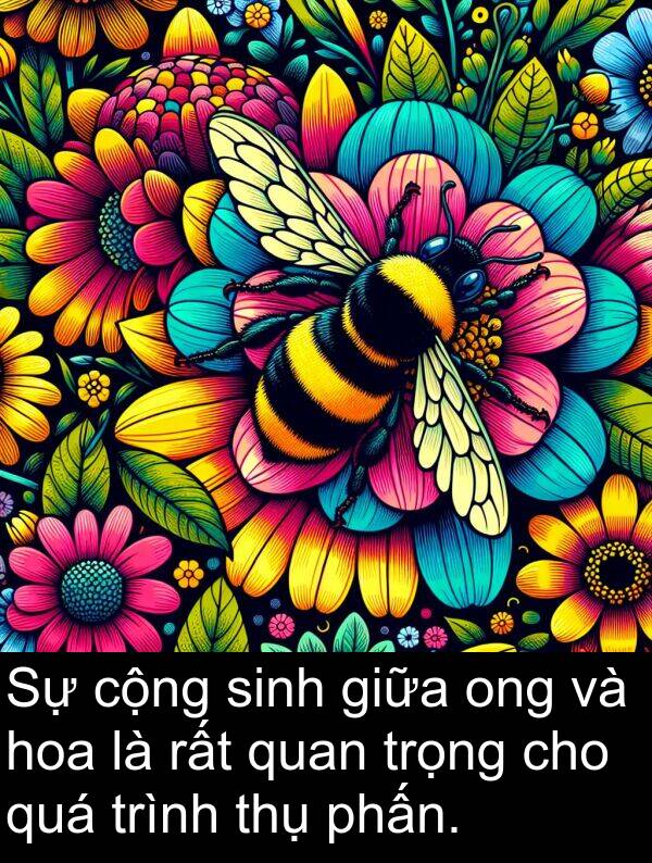 thụ: Sự cộng sinh giữa ong và hoa là rất quan trọng cho quá trình thụ phấn.