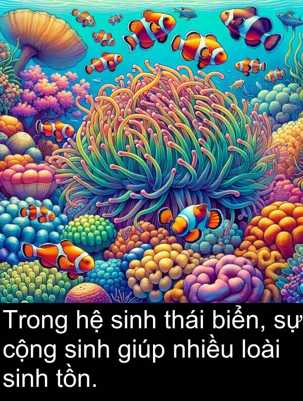 biển: Trong hệ sinh thái biển, sự cộng sinh giúp nhiều loài sinh tồn.