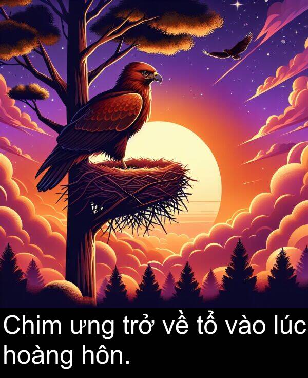 ưng: Chim ưng trở về tổ vào lúc hoàng hôn.
