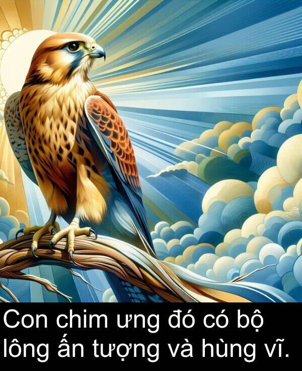 ưng: Con chim ưng đó có bộ lông ấn tượng và hùng vĩ.