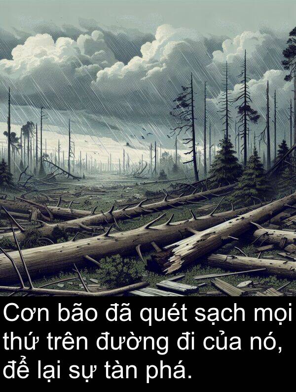 quét: Cơn bão đã quét sạch mọi thứ trên đường đi của nó, để lại sự tàn phá.
