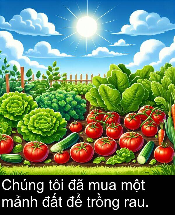 đất: Chúng tôi đã mua một mảnh đất để trồng rau.