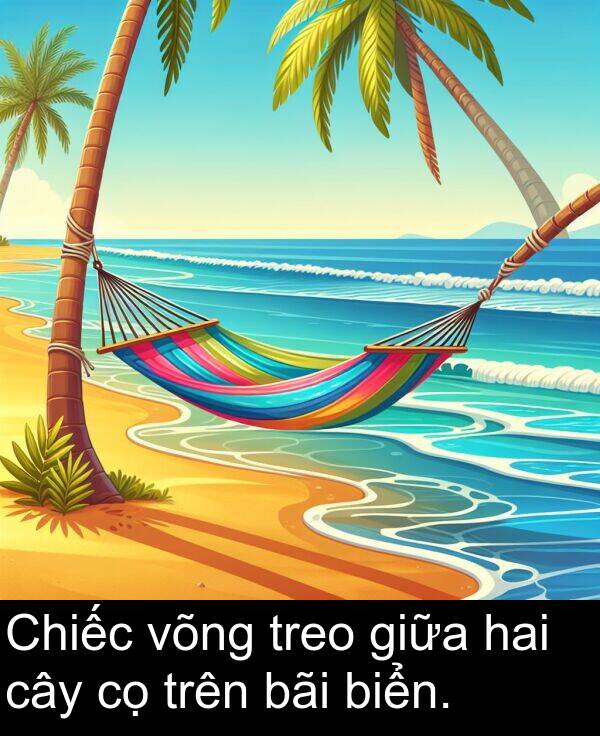 biển: Chiếc võng treo giữa hai cây cọ trên bãi biển.