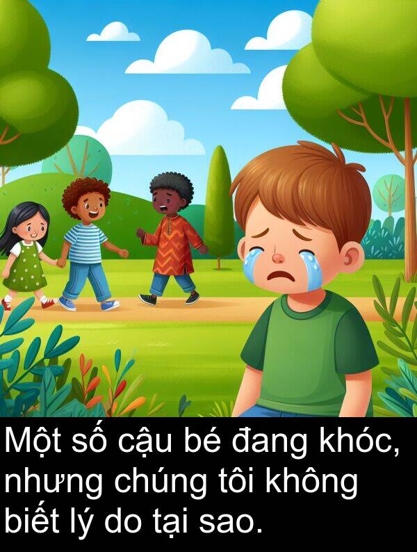 cậu: Một số cậu bé đang khóc, nhưng chúng tôi không biết lý do tại sao.