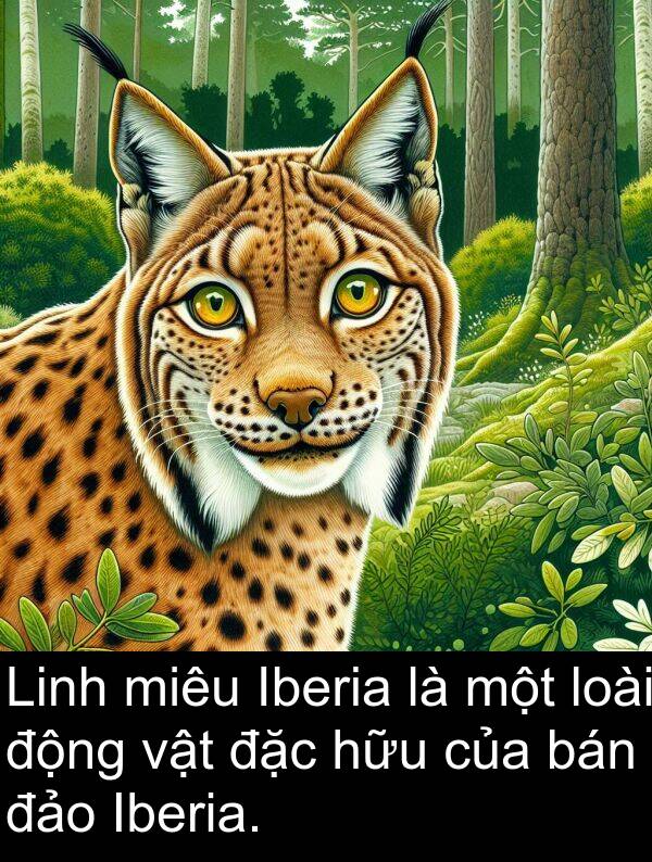 đảo: Linh miêu Iberia là một loài động vật đặc hữu của bán đảo Iberia.