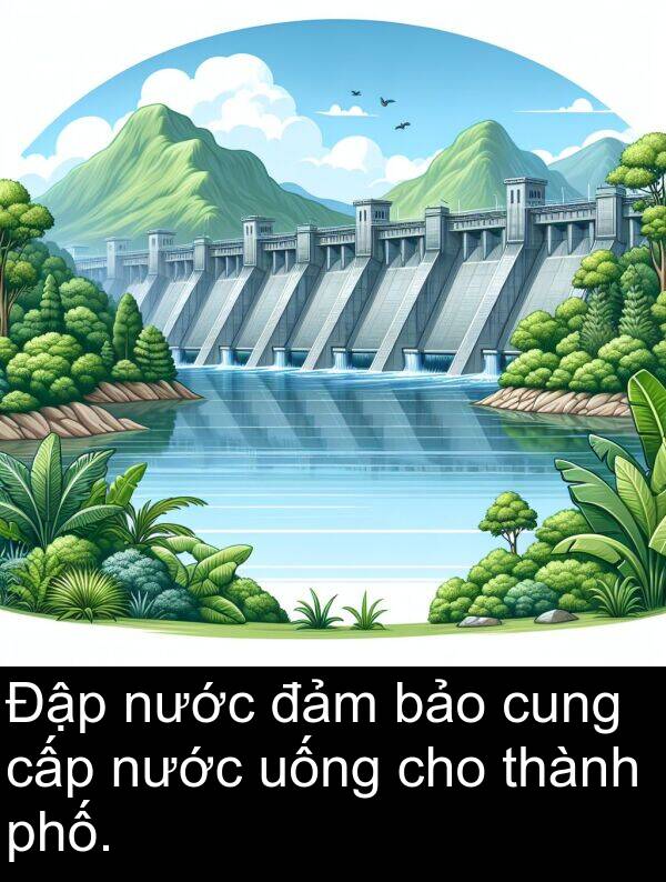 cấp: Đập nước đảm bảo cung cấp nước uống cho thành phố.