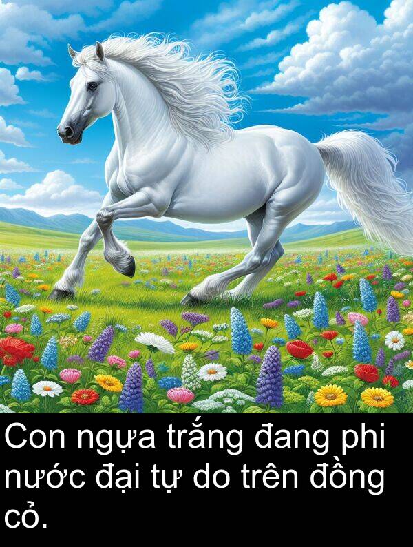 đại: Con ngựa trắng đang phi nước đại tự do trên đồng cỏ.