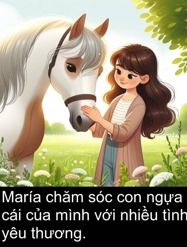 chăm: María chăm sóc con ngựa cái của mình với nhiều tình yêu thương.
