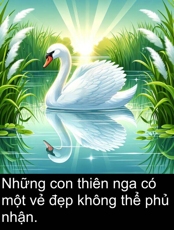 đẹp: Những con thiên nga có một vẻ đẹp không thể phủ nhận.