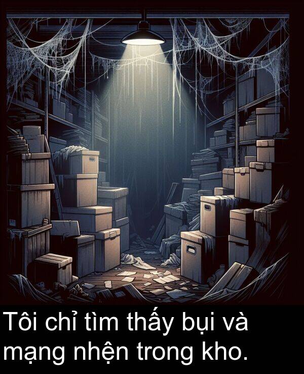 bụi: Tôi chỉ tìm thấy bụi và mạng nhện trong kho.
