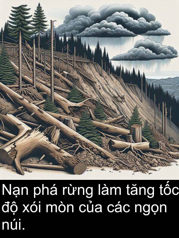 xói: Nạn phá rừng làm tăng tốc độ xói mòn của các ngọn núi.