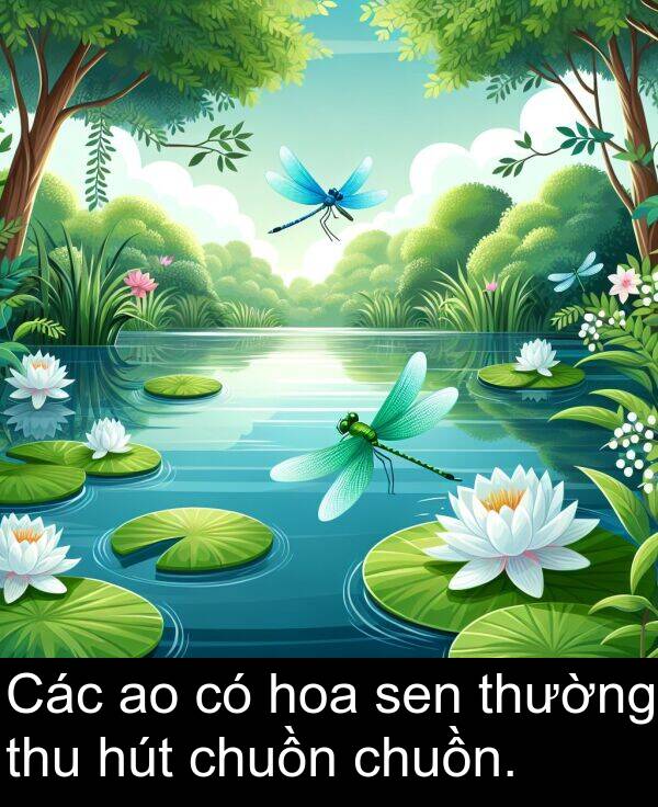 chuồn: Các ao có hoa sen thường thu hút chuồn chuồn.