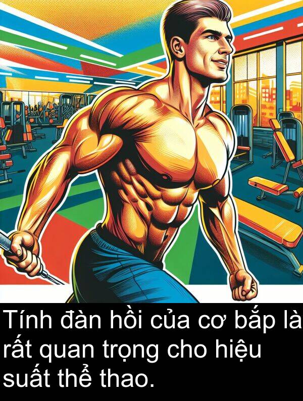 đàn: Tính đàn hồi của cơ bắp là rất quan trọng cho hiệu suất thể thao.