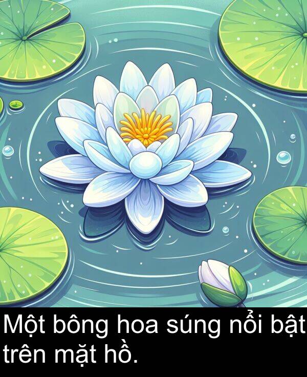 bông: Một bông hoa súng nổi bật trên mặt hồ.