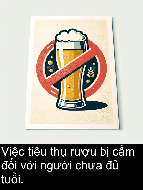 đối: Việc tiêu thụ rượu bị cấm đối với người chưa đủ tuổi.