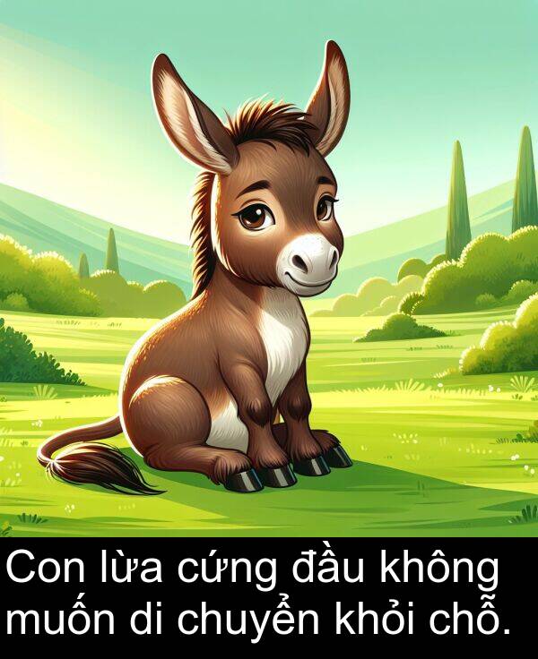 đầu: Con lừa cứng đầu không muốn di chuyển khỏi chỗ.