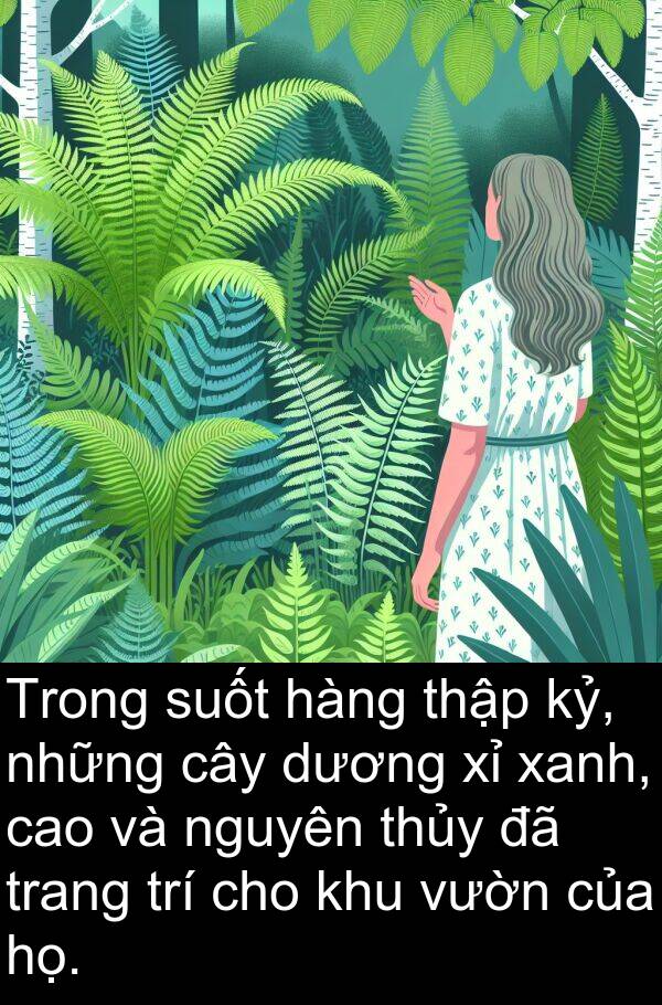 thủy: Trong suốt hàng thập kỷ, những cây dương xỉ xanh, cao và nguyên thủy đã trang trí cho khu vườn của họ.