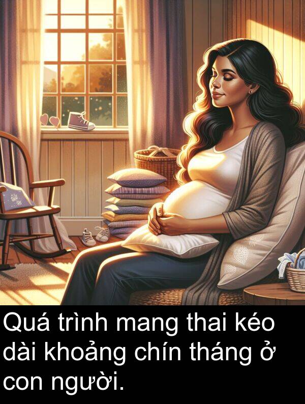 chín: Quá trình mang thai kéo dài khoảng chín tháng ở con người.