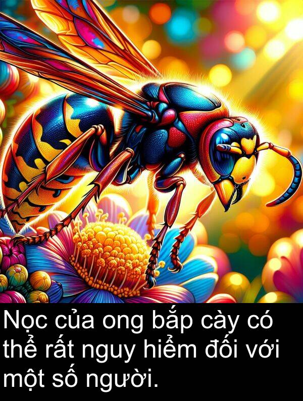 đối: Nọc của ong bắp cày có thể rất nguy hiểm đối với một số người.
