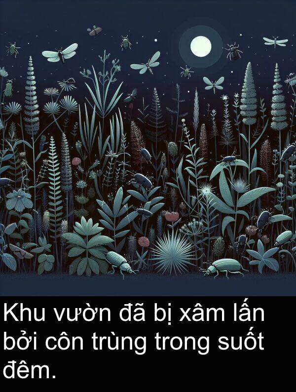 côn: Khu vườn đã bị xâm lấn bởi côn trùng trong suốt đêm.