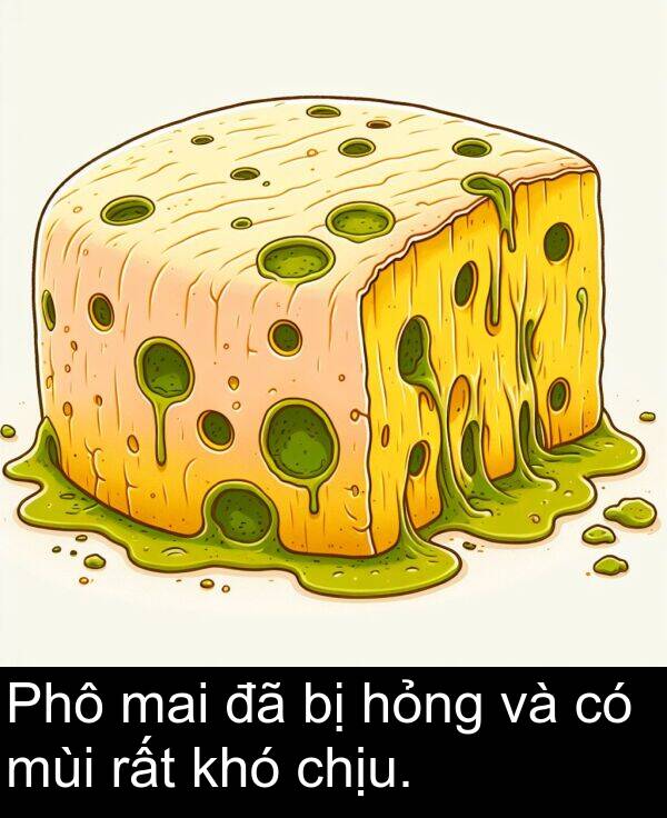 chịu: Phô mai đã bị hỏng và có mùi rất khó chịu.