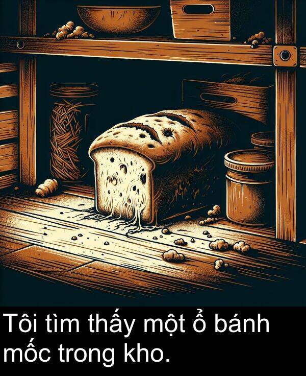 bánh: Tôi tìm thấy một ổ bánh mốc trong kho.