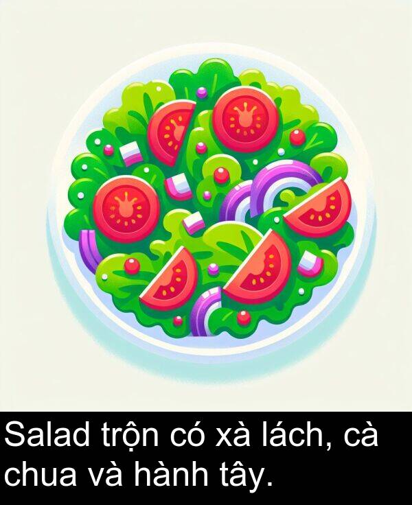 trộn: Salad trộn có xà lách, cà chua và hành tây.