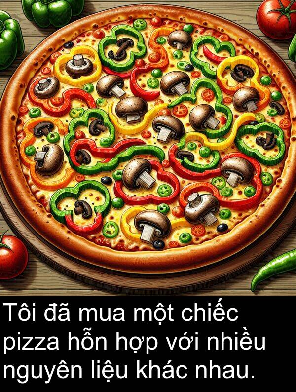 nguyên: Tôi đã mua một chiếc pizza hỗn hợp với nhiều nguyên liệu khác nhau.