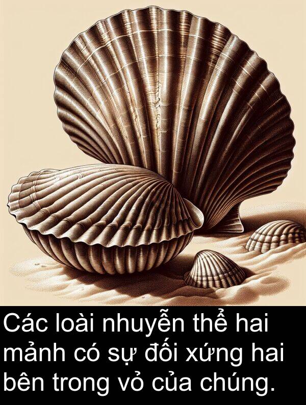 đối: Các loài nhuyễn thể hai mảnh có sự đối xứng hai bên trong vỏ của chúng.