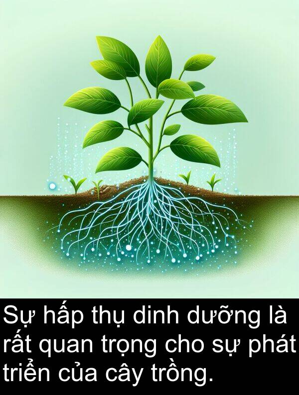 thụ: Sự hấp thụ dinh dưỡng là rất quan trọng cho sự phát triển của cây trồng.