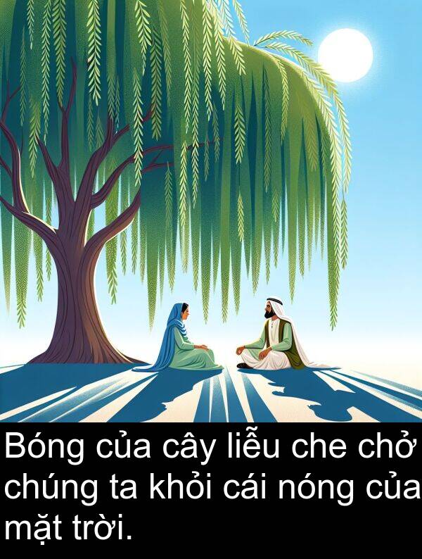 liễu: Bóng của cây liễu che chở chúng ta khỏi cái nóng của mặt trời.