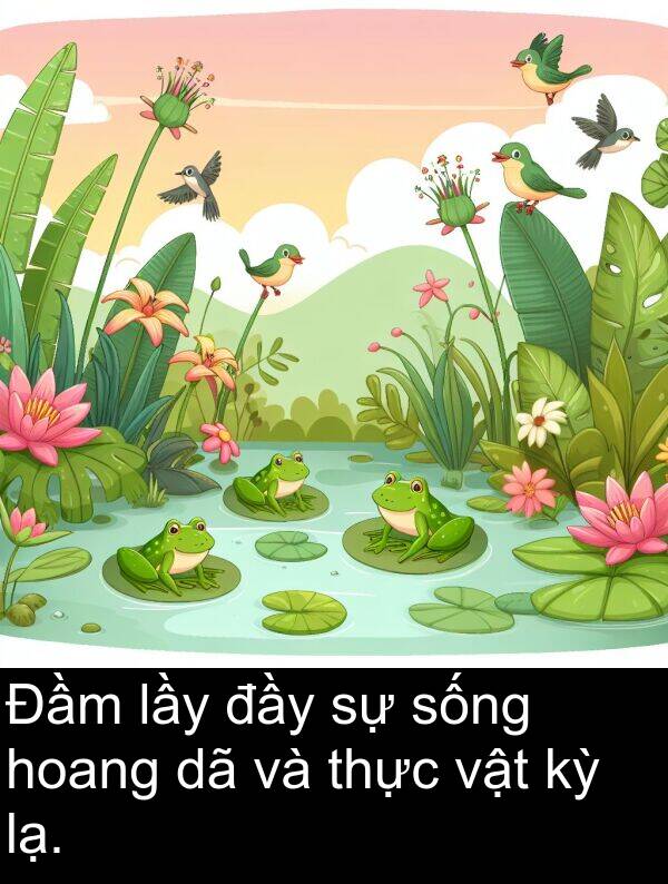đầy: Đầm lầy đầy sự sống hoang dã và thực vật kỳ lạ.