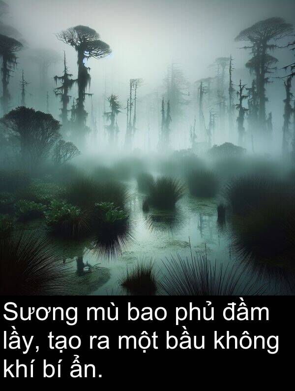 đầm: Sương mù bao phủ đầm lầy, tạo ra một bầu không khí bí ẩn.
