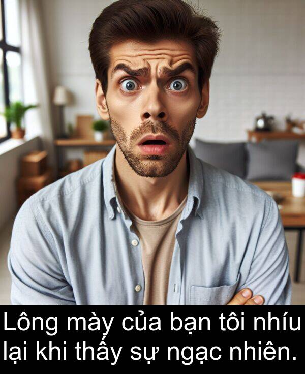 bạn: Lông mày của bạn tôi nhíu lại khi thấy sự ngạc nhiên.
