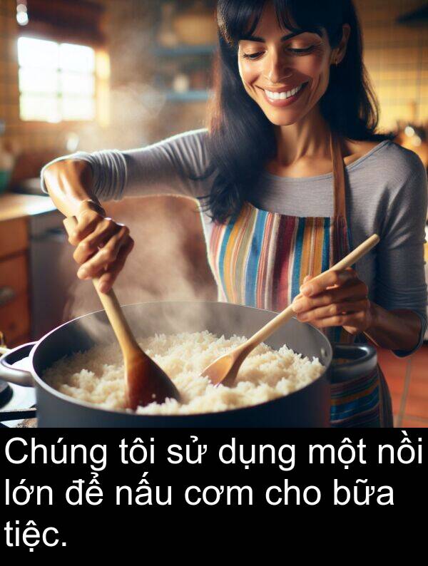 bữa: Chúng tôi sử dụng một nồi lớn để nấu cơm cho bữa tiệc.