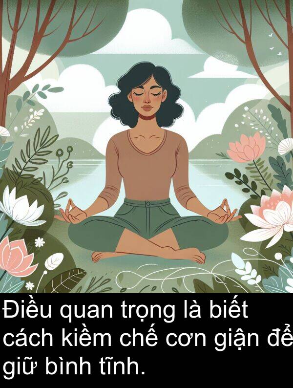 giận: Điều quan trọng là biết cách kiềm chế cơn giận để giữ bình tĩnh.