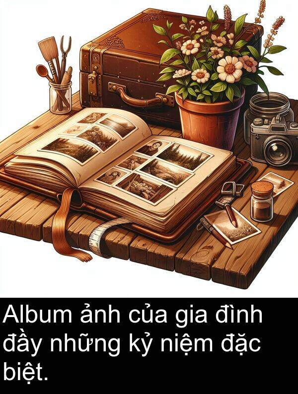 biệt: Album ảnh của gia đình đầy những kỷ niệm đặc biệt.