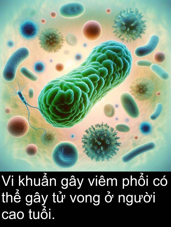 viêm: Vi khuẩn gây viêm phổi có thể gây tử vong ở người cao tuổi.