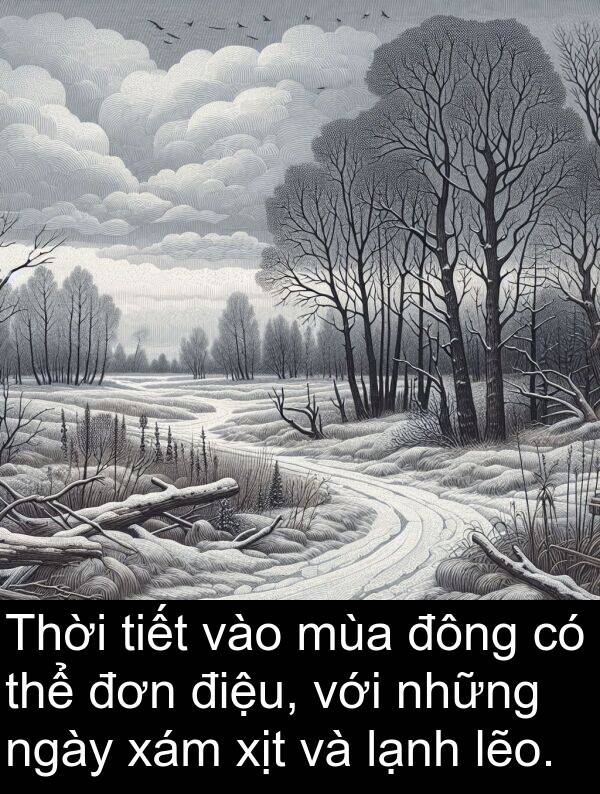 đông: Thời tiết vào mùa đông có thể đơn điệu, với những ngày xám xịt và lạnh lẽo.