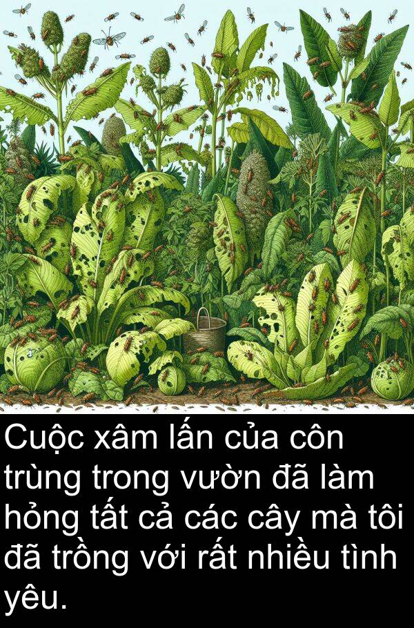 côn: Cuộc xâm lấn của côn trùng trong vườn đã làm hỏng tất cả các cây mà tôi đã trồng với rất nhiều tình yêu.